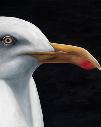 seagull by patrice moor